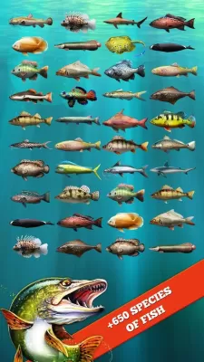 Let's Fish screenshot3