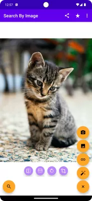 Search By Image screenshot2