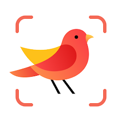 Picture Bird MOD APK icon