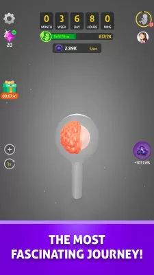 Idle 9 Months screenshot2