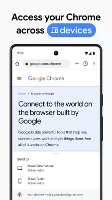 Google Chrome screenshot1